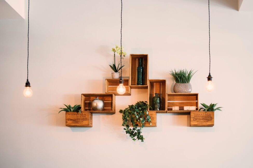 wooden crates hanging on wall with plants and books black light fixtures hanging