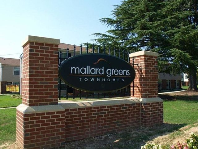 Mallard Green