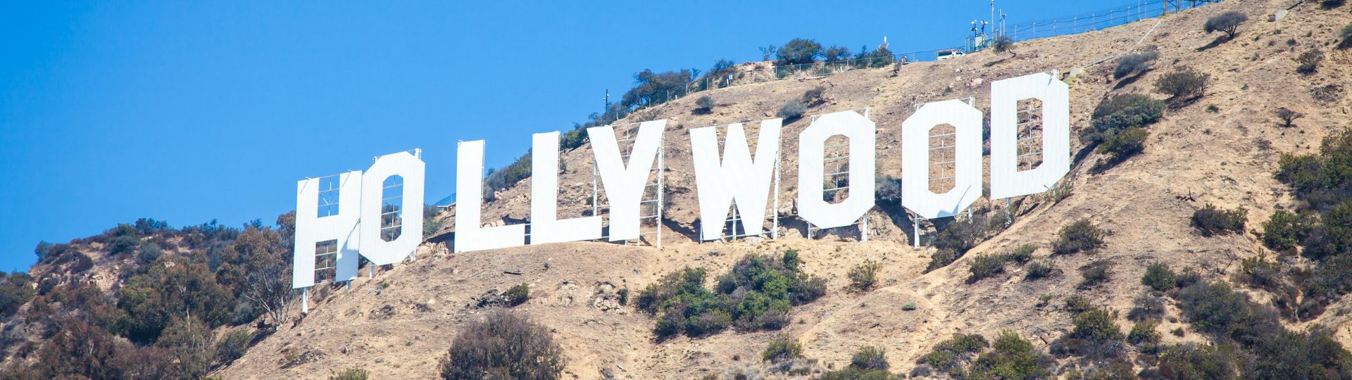City Banner