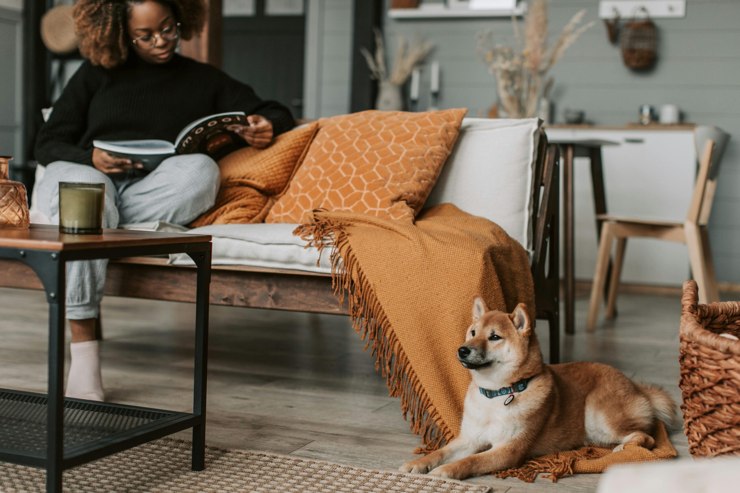 Fall Apartment Living Trends
